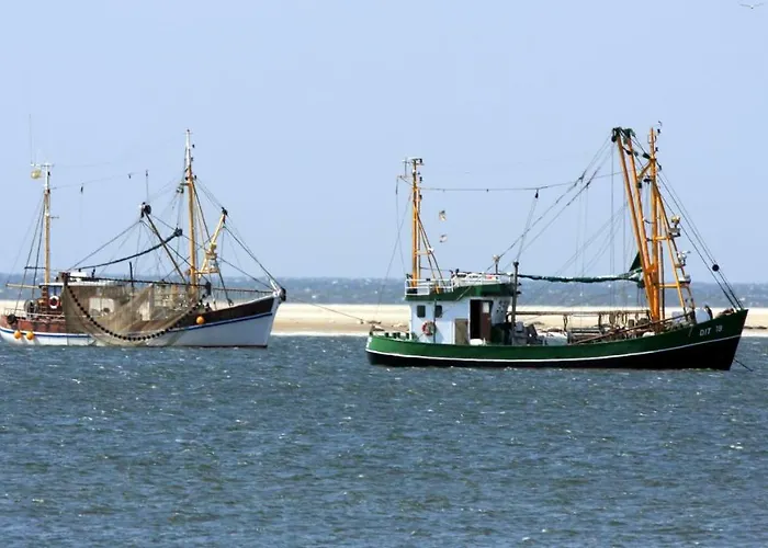 公寓 Borkumunterkunft - Woh2 - Im Herzen Der Insel 博尔库姆