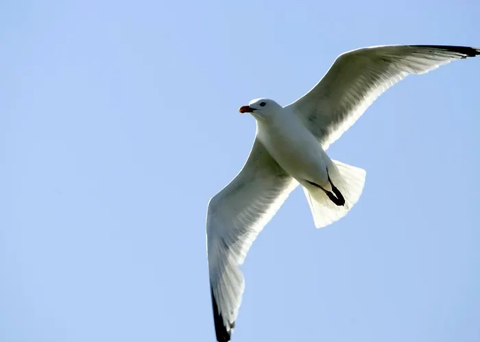 公寓 Borkumunterkunft - Woh2 - Im Herzen Der Insel 博尔库姆